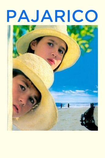 Little Bird film afişi