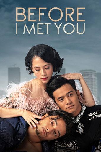 Before I Met You film afişi