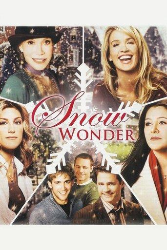 Snow Wonder film afişi