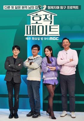 DNA Mate dizi afişi