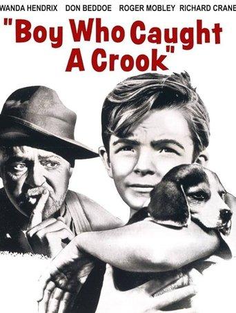 Boy Who Caught a Crook film afişi