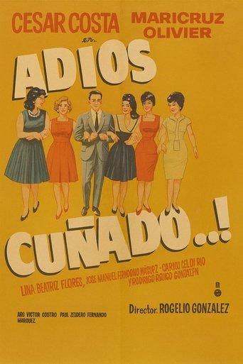 Adios cuñado film afişi