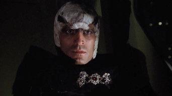 Time of the Hawk (1)