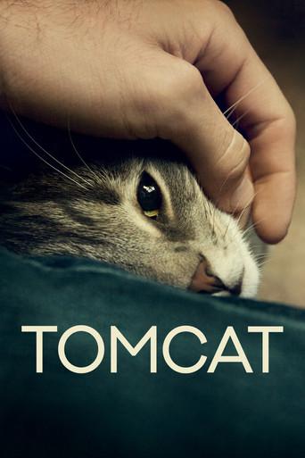 Tomcat film afişi