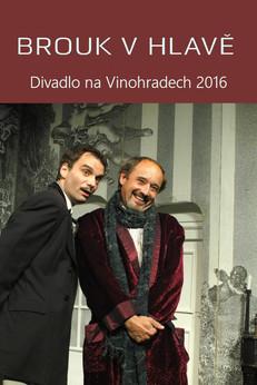 Brouk v hlavě film afişi