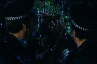 The Beast Of Hackney Marshes