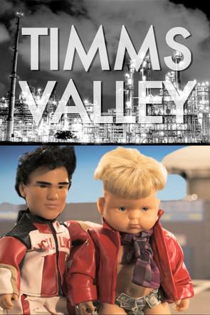 Timms Valley film afişi