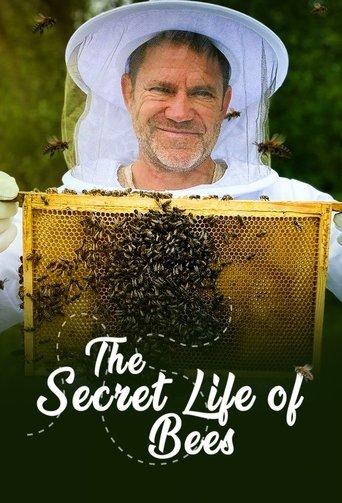 The Secret Life of Bees dizi afişi