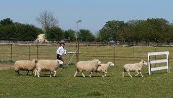 Mythssion Impossible