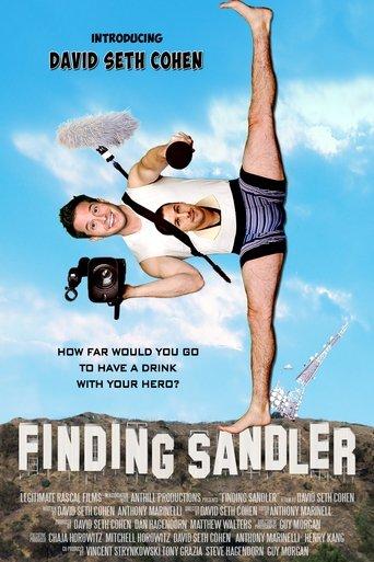Finding Sandler film afişi