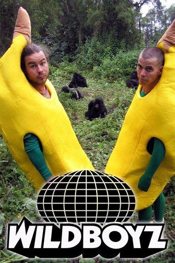 Wildboyz dizi afişi