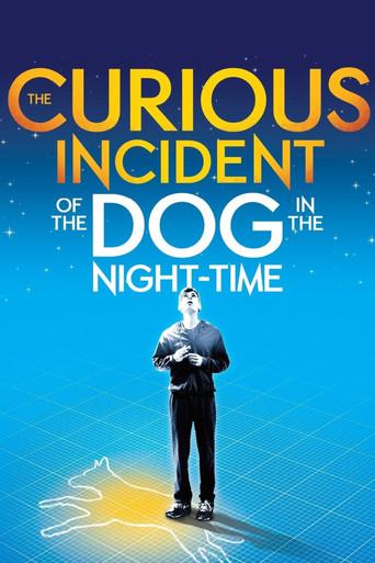 National Theatre Live: The Curious Incident of the Dog in the Night-Time film afişi