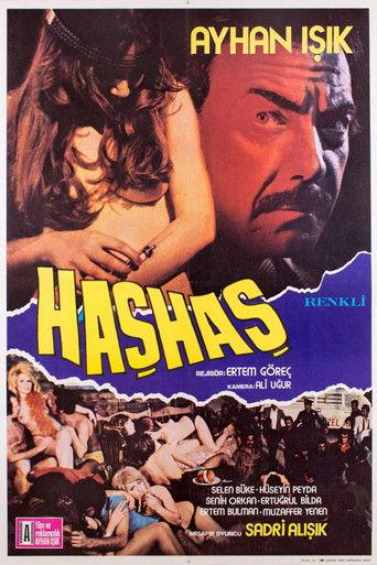 Haşhaş film afişi