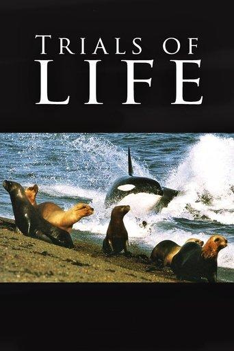 Trials of Life dizi afişi