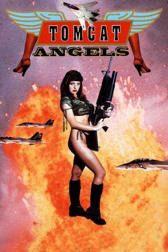 Tomcat Angels film afişi