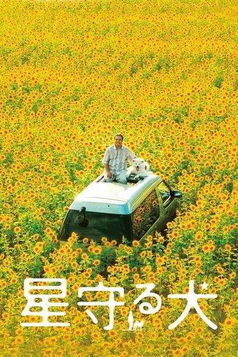 Star Watching Dog film afişi