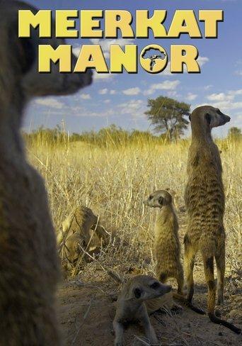 Meerkat Manor dizi afişi