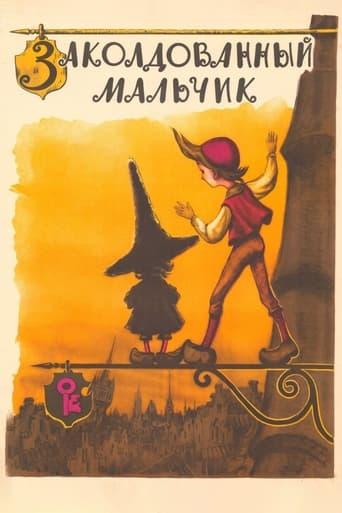 The Enchanted Boy film afişi