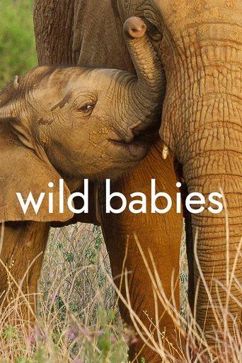 Wild Babies dizi afişi