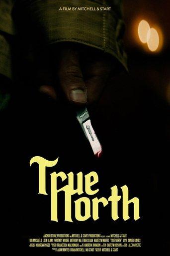 True North film afişi