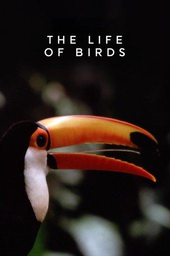 The Life of Birds dizi afişi