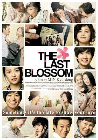 The Last Blossom film afişi