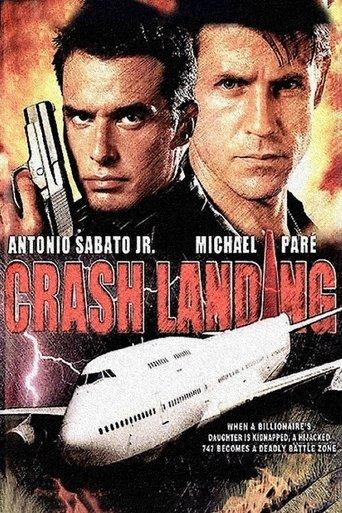 Crash Landing film afişi
