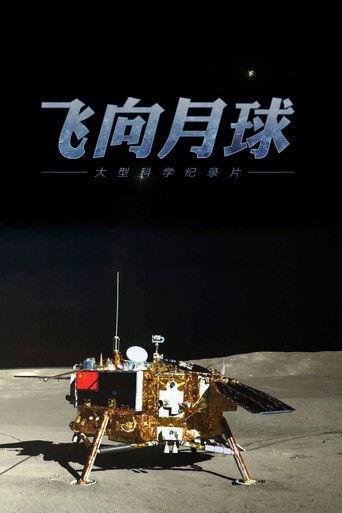 飞向月球 dizi afişi