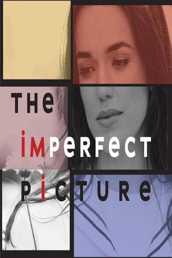 The Imperfect Picture film afişi