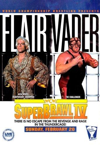 WCW SuperBrawl IV film afişi
