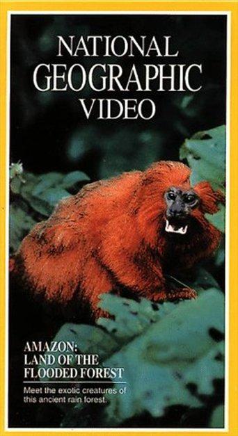 Amazon: Land of the Flooded Forest film afişi