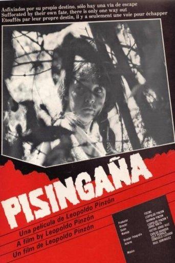 Pisingaña film afişi