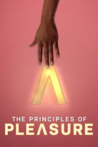 The Principles of Pleasure dizi afişi