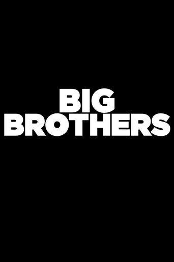 Big Brothers film afişi