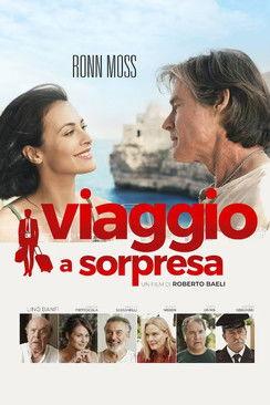 Viaggio a sorpresa film afişi