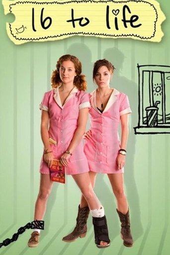 16 to Life film afişi