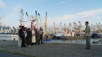 Versace in the Fishes