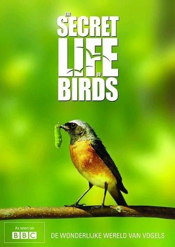 Iolo's Secret Life of Birds dizi afişi