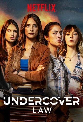 Undercover Law dizi afişi