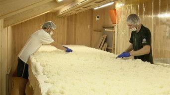 Sake Mastery Starts With Rice