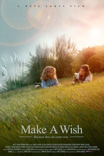 Make a Wish film afişi