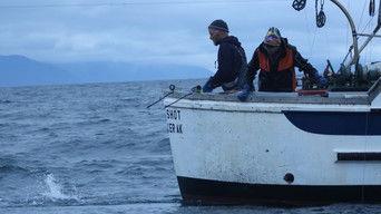 It Gets Shallow Fast