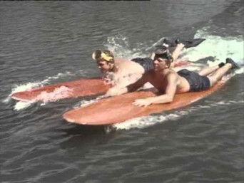 Dolphins Don't Sleep