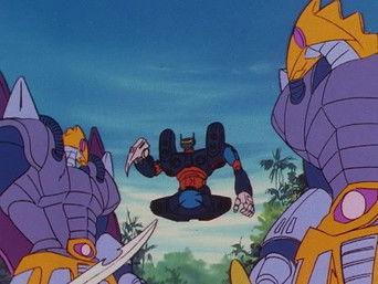 The Treasure of the Large Congo Jungle