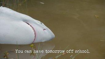 You Can Have Tomorrow off School