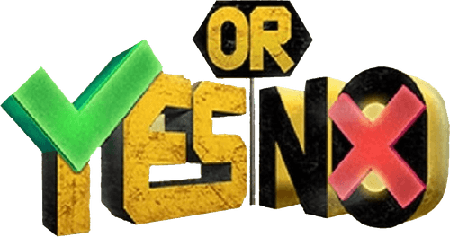 YES OR NO logo