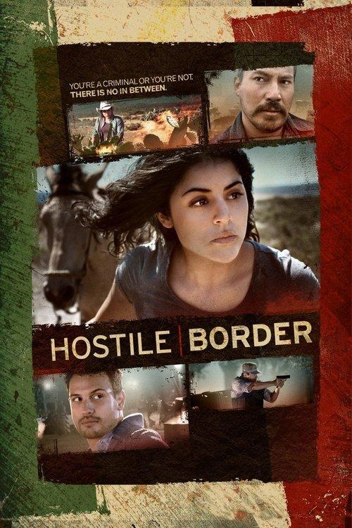 Hostile Border film afişi