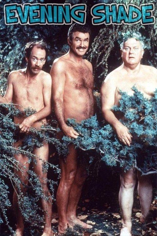 Evening Shade dizi afişi