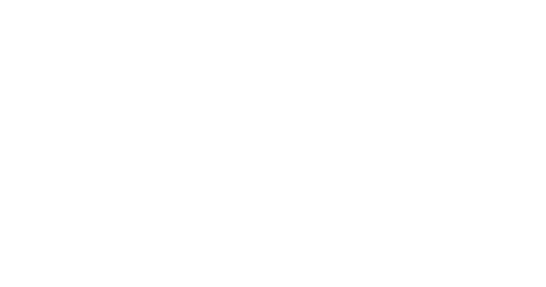 Married at First Sight logo