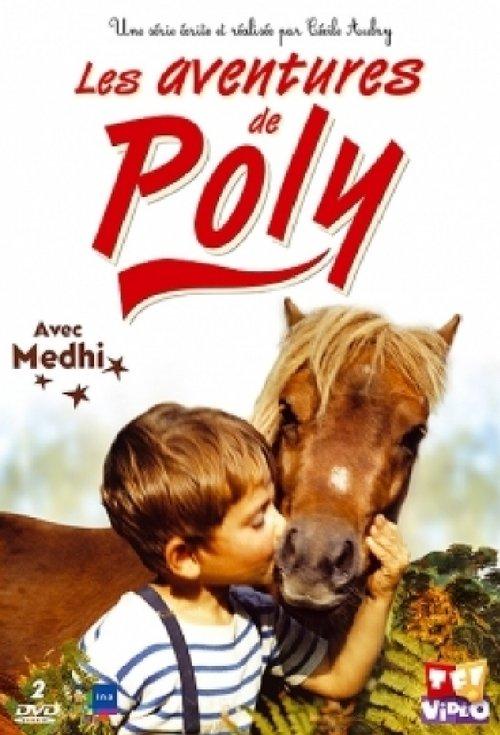Poly dizi afişi